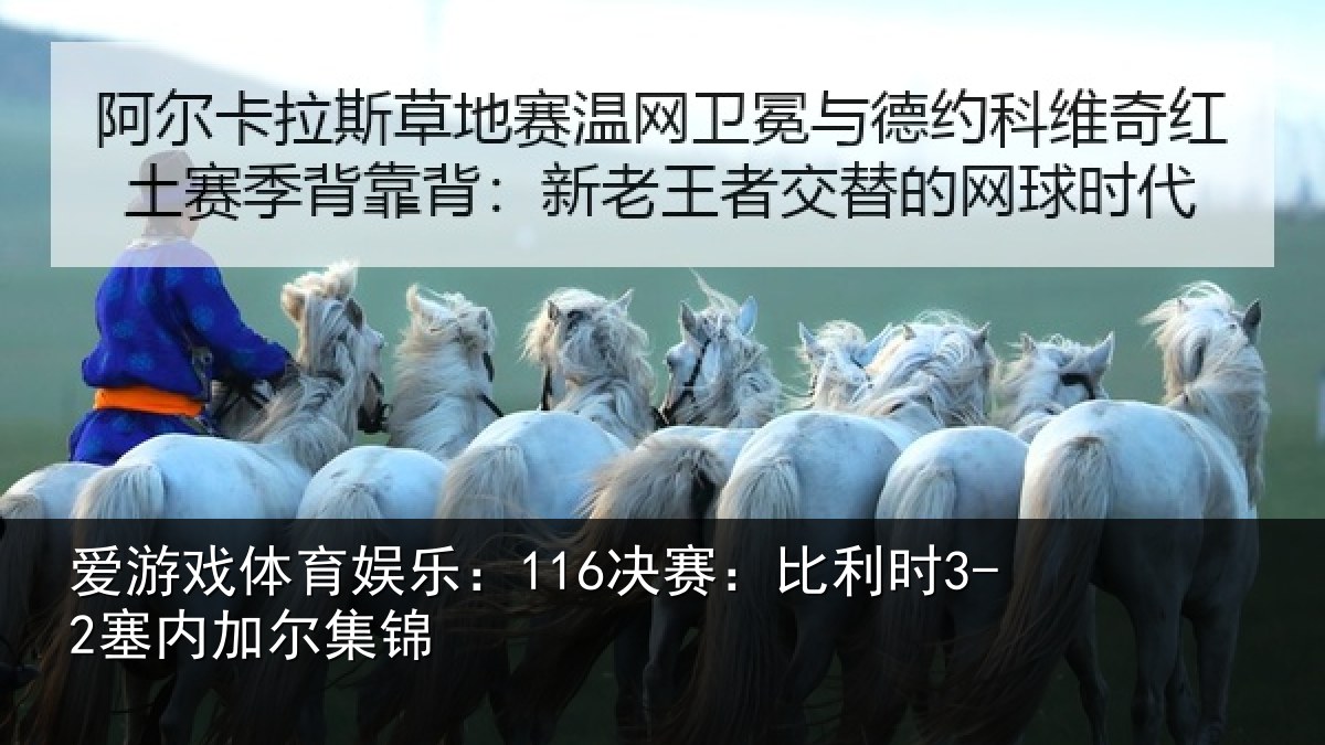爱游戏体育娱乐：116决赛：比利时3-2塞内加尔集锦