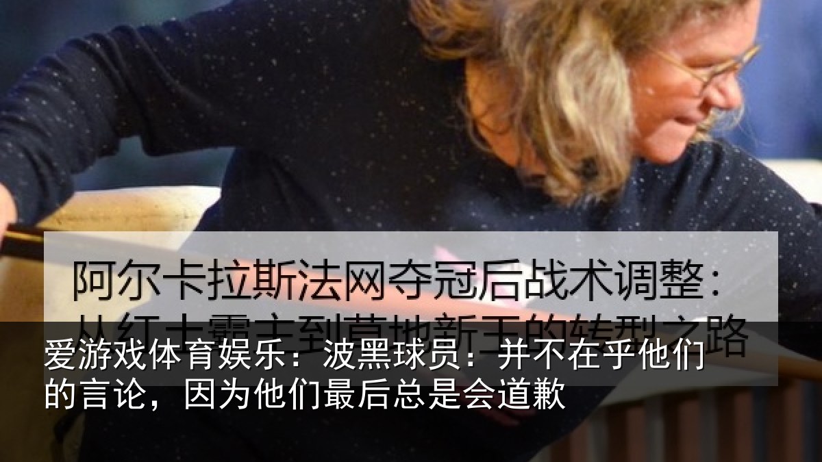 爱游戏体育娱乐:波黑相关情况的言相关情况是会道歉